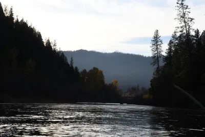 DSC_0305 (Large).JPG